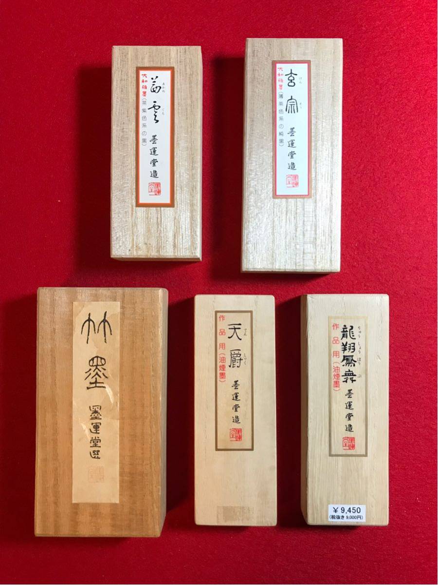 大得価，低価】 336「古美術一龍堂」董寿平「山水図册頁精品」九図