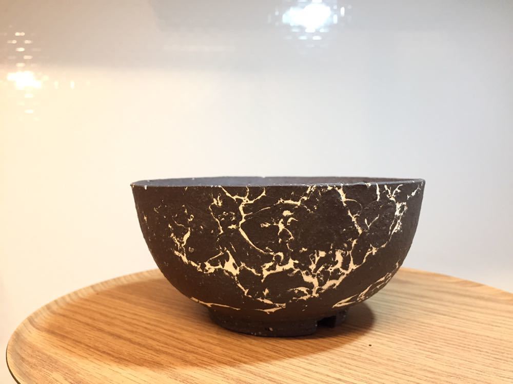 invisible ink × BOTANIZE インビジブルインク ボタナイズ invisible