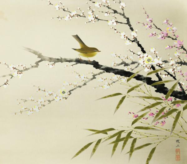 真作WISH山田帆丘「梅花山禽」日本画 掛軸 絹本 共箱 〇 【