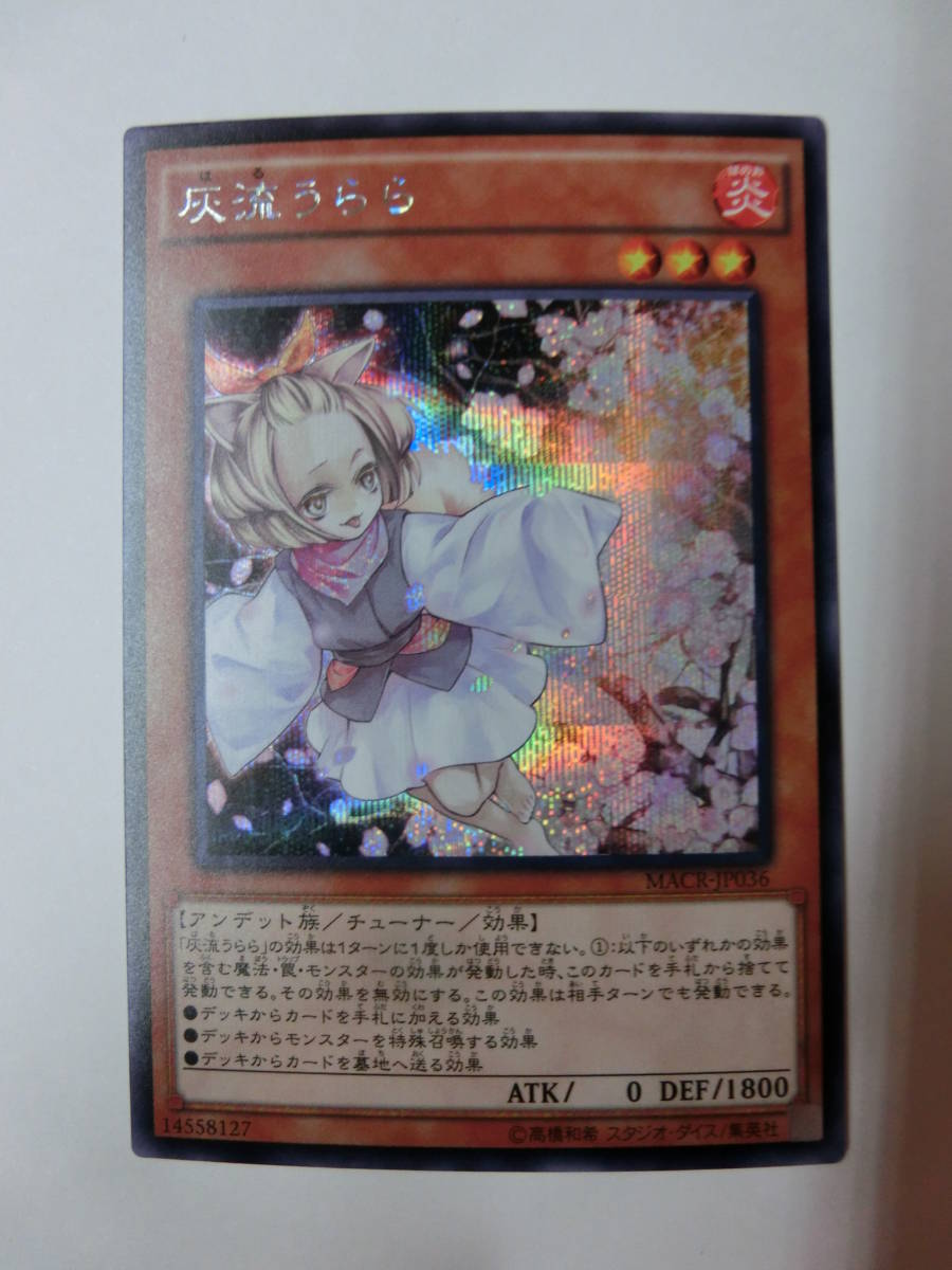 遊戯王 灰流うらら シークレット レア MACR-JP036 その2