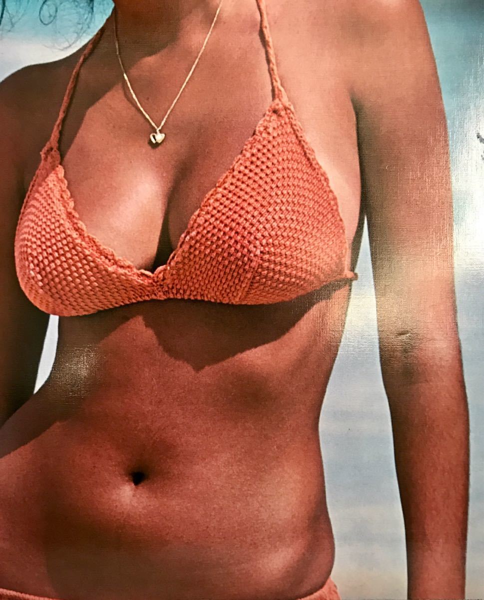 アグネスラム パネルポスター写真 ビンティージ品 水着 木製 昭和