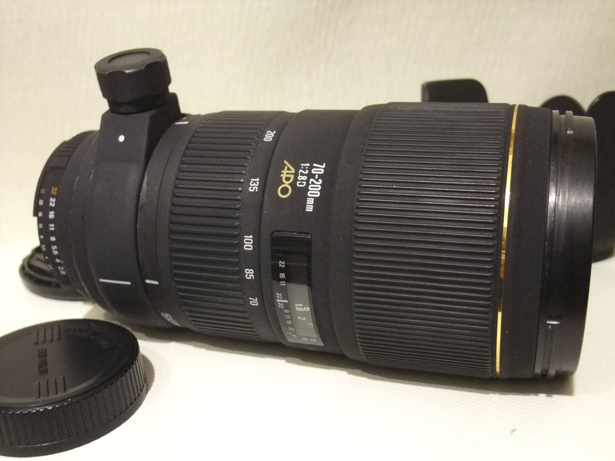 お買い得，高品質 ☆ニコン用 シグマ AF APO 70-200mm F2.8 D HSM NIKON