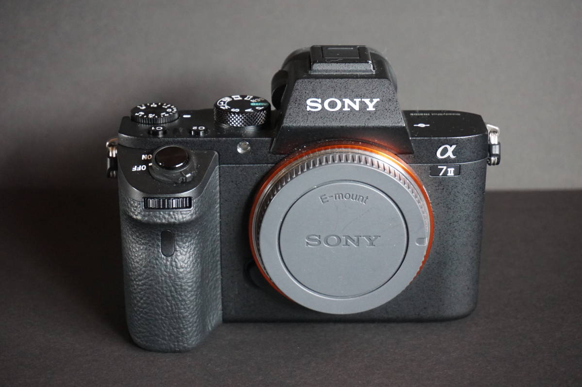 ド*ン様 SONY α7Ⅱ ILCE−7M2 Full-frame camera with 5-axis image