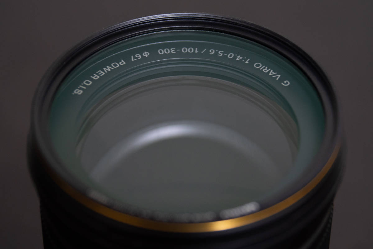 Panasonic G Vario 100-300mm II Lumix Lens for LUMIX f⁄4.0-5.6 