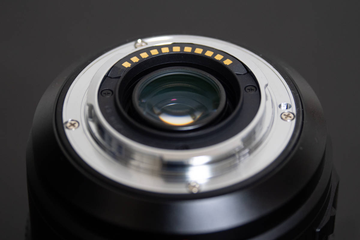 Panasonic G Vario 100-300mm II Lumix Lens for LUMIX f⁄4.0-5.6 