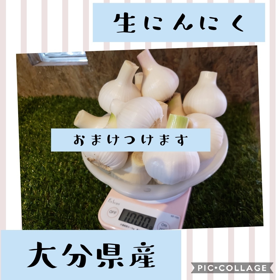 送料無料 約10kg にんにく 大きさおまかせ | 国産にんにく” ”青森県 
