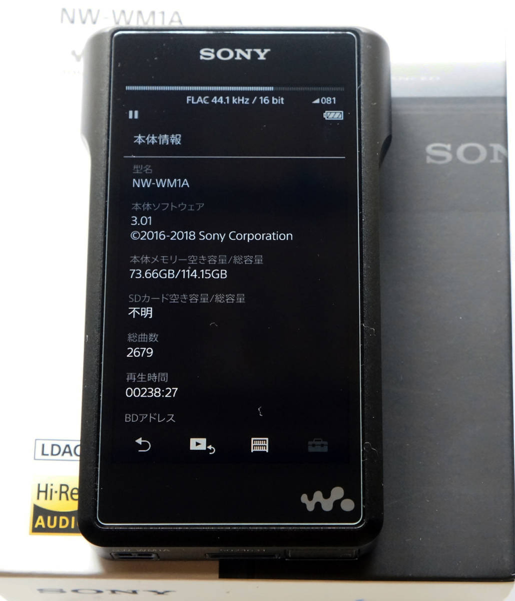 SONYウォークマン NW-WM1A ・おまけ リモコン/専用ケース ・送料無料