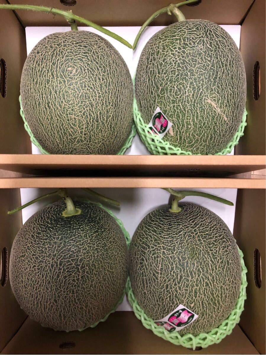セール 熊本産 肥後グリーン メロン 秀品 特特 2箱 まとめて 6/13 3番(メロン)｜売買されたオークション情報、yahooの商品情報をアーカイブ公開 - オークファン メロン