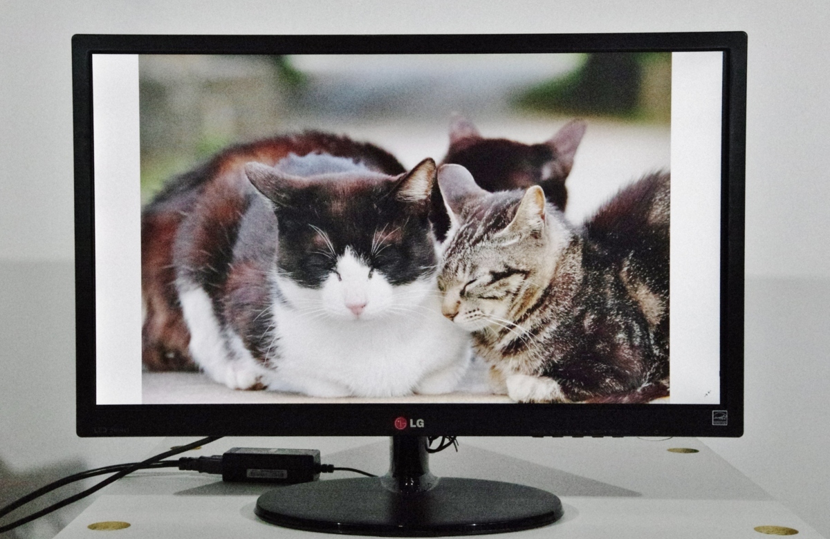 仙台発】【LG】 24型ワイド液晶モニター ☆24EN43V-B☆ LG 24インチ □