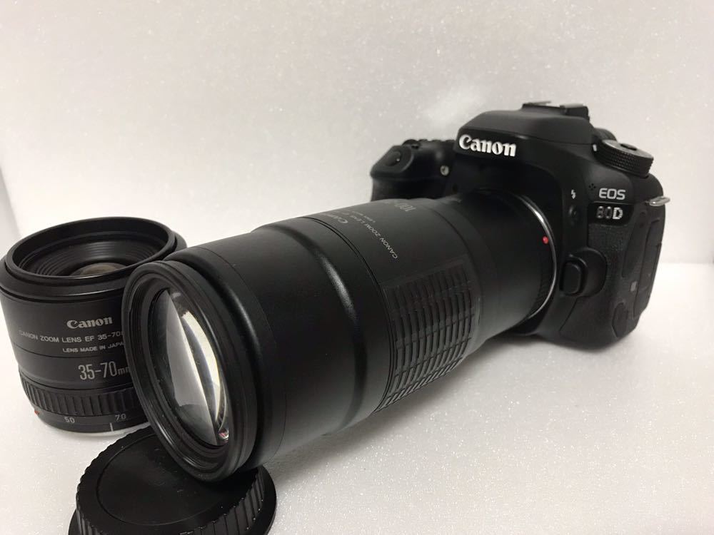 フード付き☆キャノン Canon EOS 80D標準&望遠ダブルレンズセット キャノン Canon EOS 80D標準&望遠レンズセット 【公式通販】