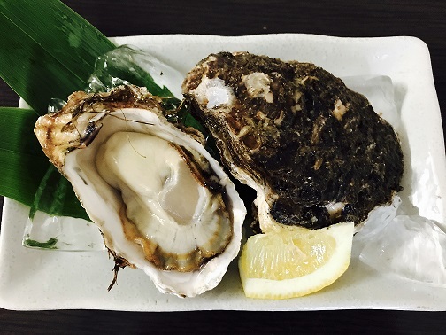 【夏季限定】秋田県産　天然岩牡蠣　10キロ5000円即決