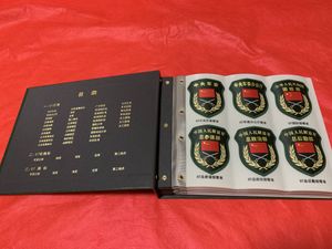中国解放軍 07式臂章集 引っこ抜こ