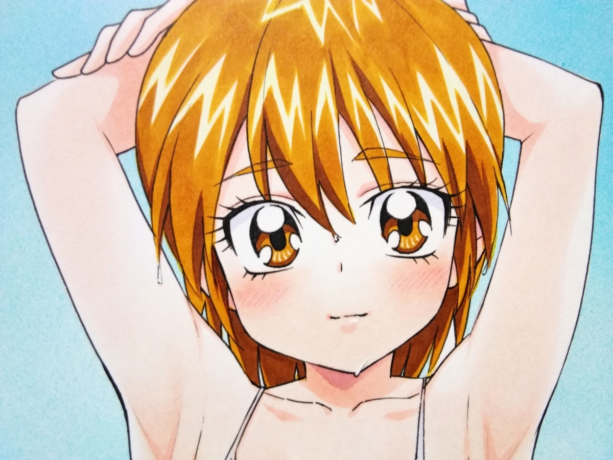 手描きイラスト 美墨なぎさ キュアブラック ふたりはプリキュア 水着 ビキニ 手描きイラスト 売買されたオークション情報 Yahooの商品情報をアーカイブ公開 オークファン Aucfan Com