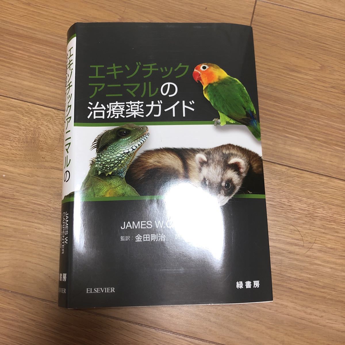 エキゾチックアニマルの治療薬ガイド 獣医 小動物 犬 猫 ペット 動物病院 緑書房 無脊椎動物 魚類 両生類 爬虫類 鳥類 フクロモモンガ