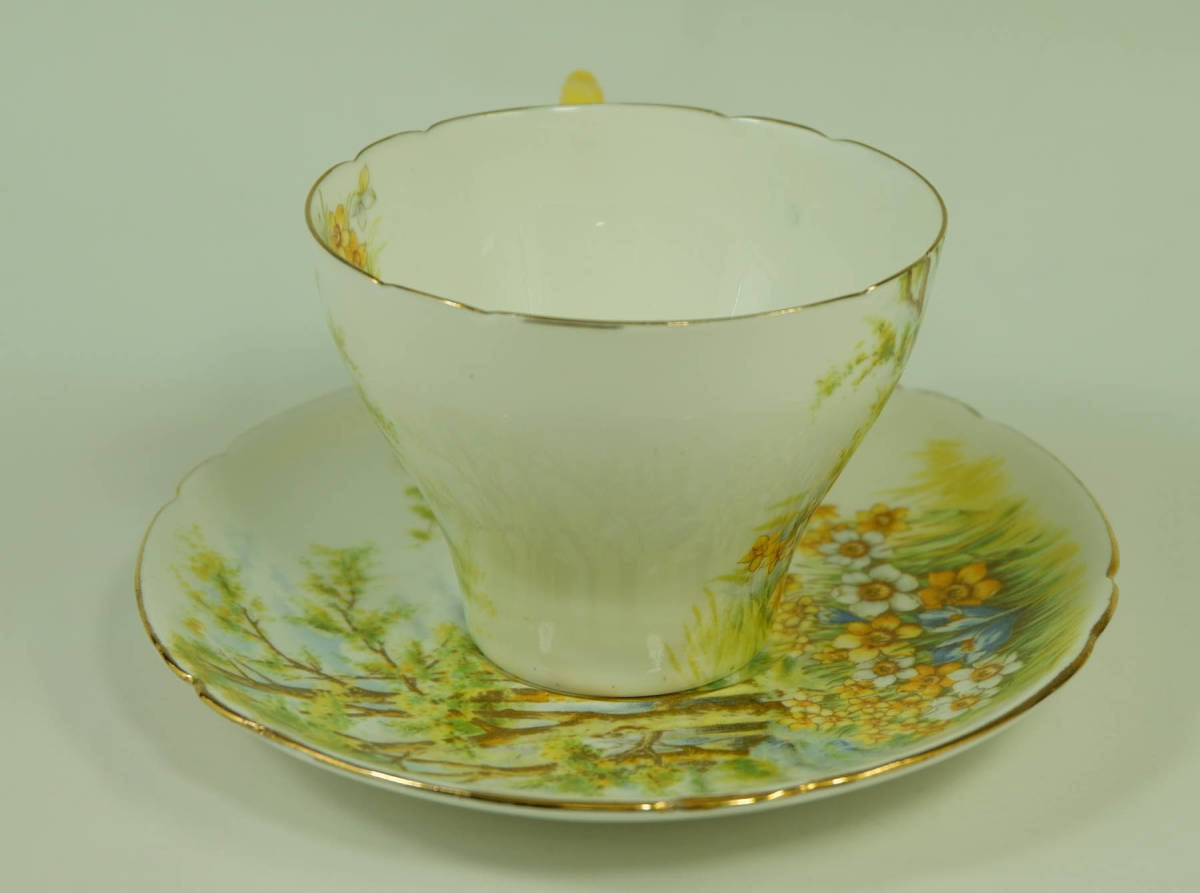 シェリー ラッパ水仙 カップ&ソーサー Shelley 