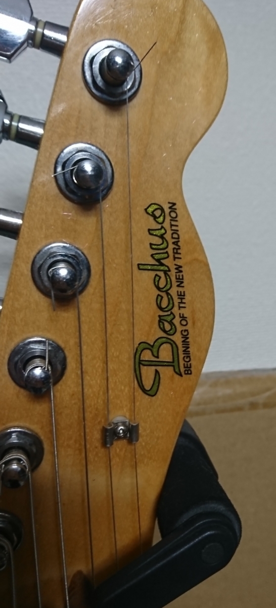 バッカス テレキャスター型 エレキギター ソフトケース