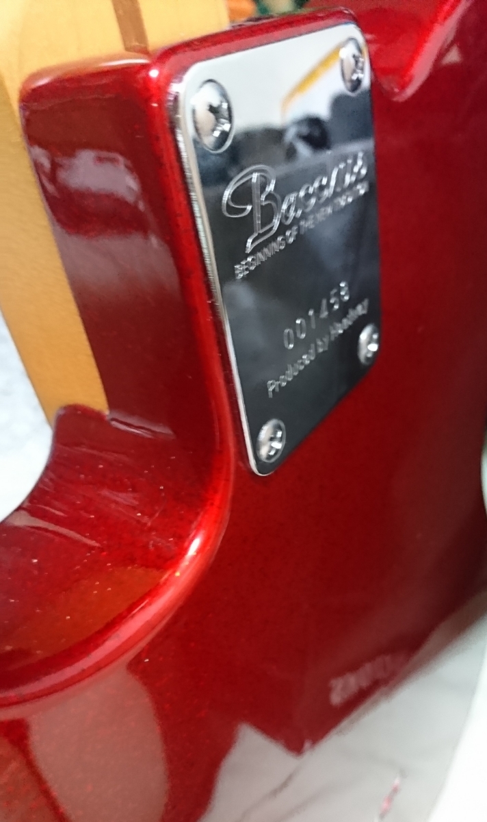 バッカス テレキャスター型 エレキギター ソフトケース