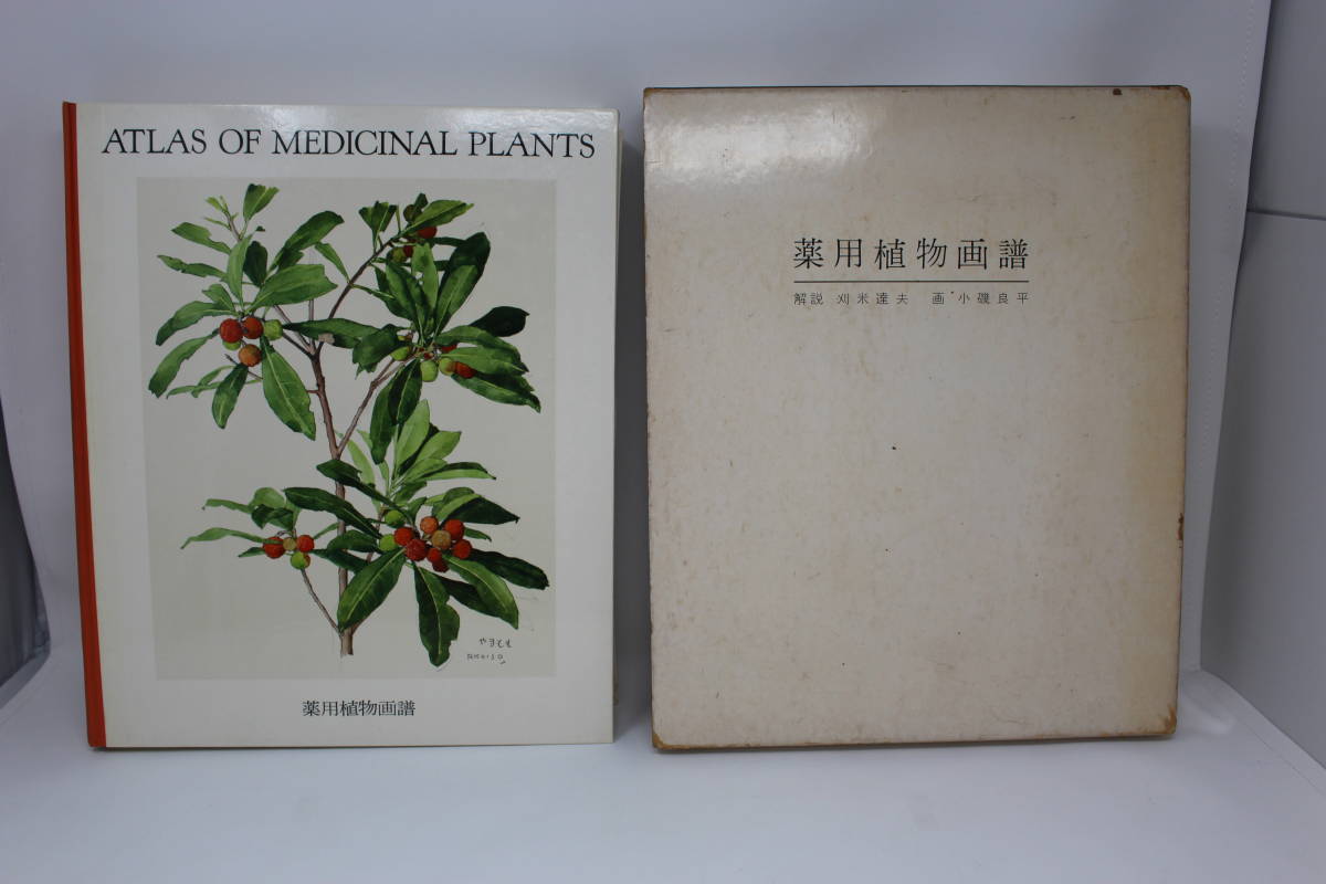 薬用植物画譜 : ⁄ 初版 小磯良平 刈米達夫 古本 小磯良平画 刈