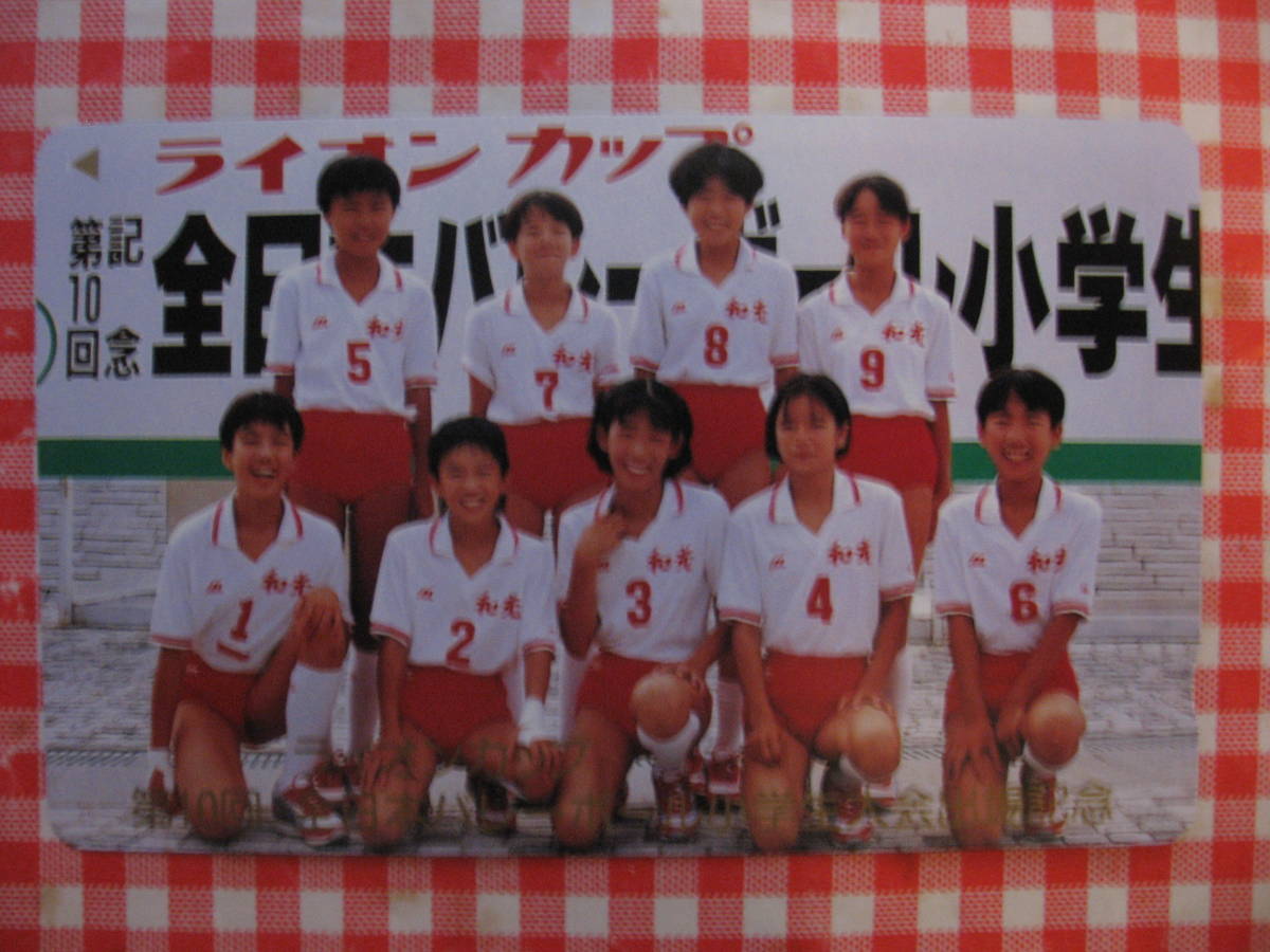 第14回ライオンカップ全日本バレーボール小学生大会 spor 