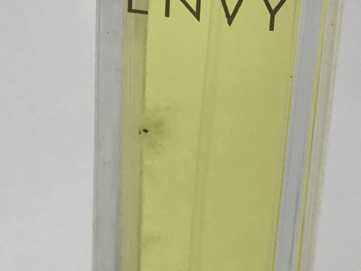 ENVY メルカリ エンヴィ - 50ml グッチ 残量多 2026年最新Yahoo 