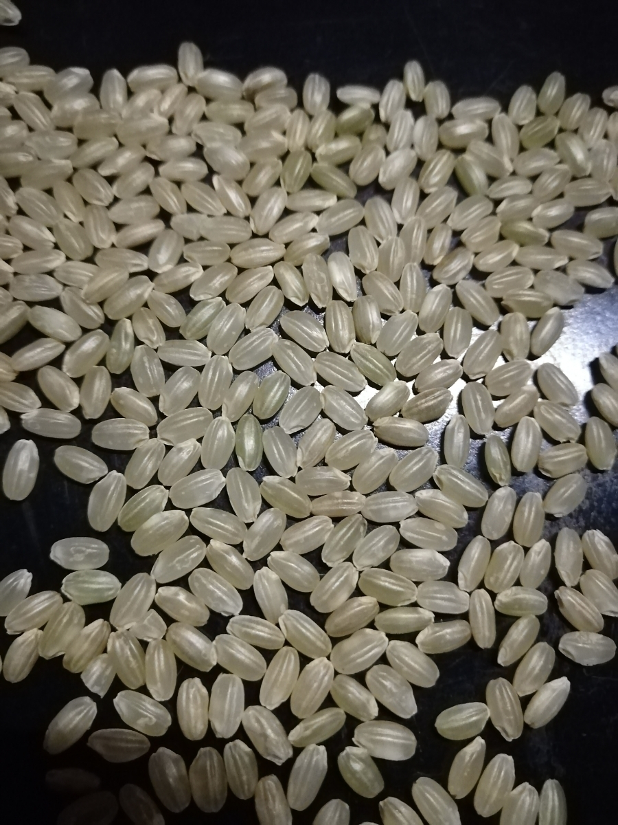 食品 農直！極良食味、最高級品種「いのちの壱」02年産 玄米30kg！