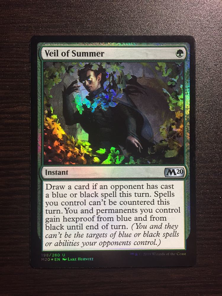 MTG 夏の帳 Foil 2枚セット 英語 Foil《夏の帳⁄Veil 【公式通販】