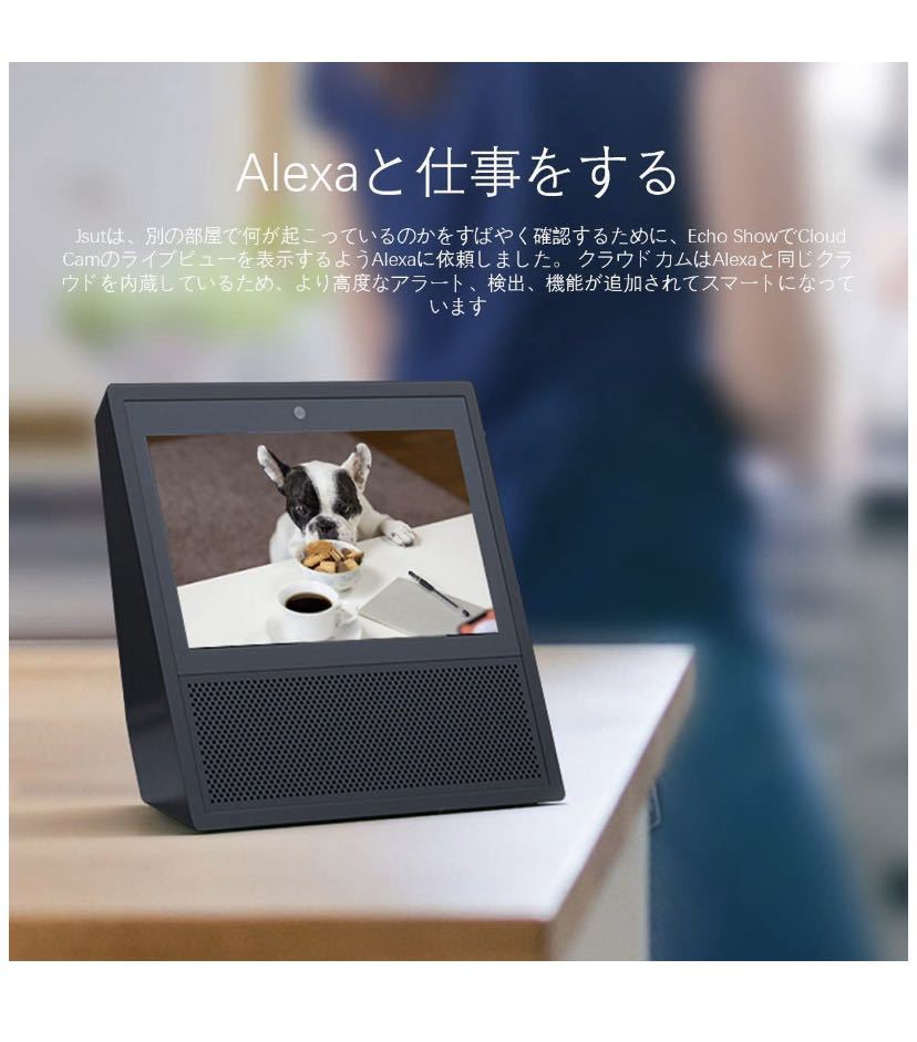 新品・未使用　JOOAN AI Smart Camera 防犯カメラ 本体 JOOAN : 防犯カメラ 300万画素監視カメラ24時間録画・IP65防水 WiFi