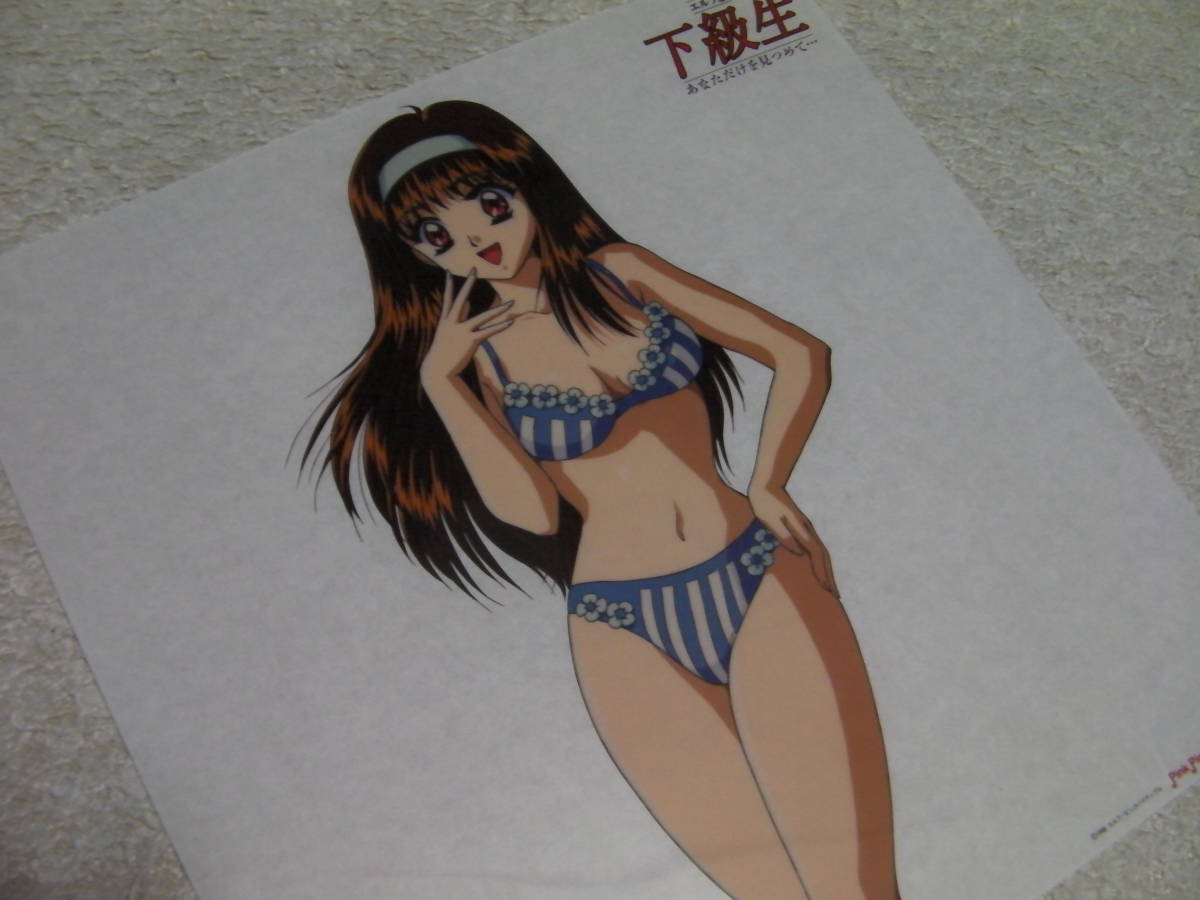 エルフ版 下級生 あなただけを見つめて... セル画 結城瑞穂 水着 の 
