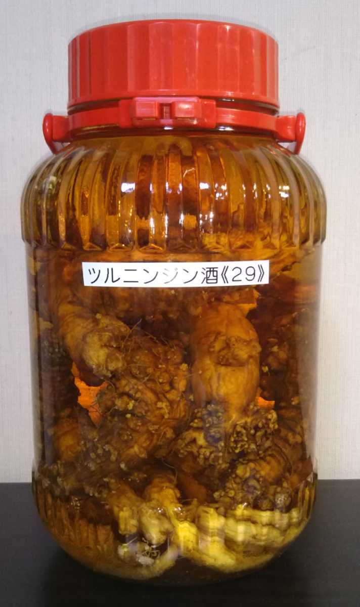 SALE，大人気 ツルニンジン酒 29 5little瓶 2019年採取(その他)｜売買されたオークション情報、yahooの商品情報をアーカイブ公開 - オークファン その他