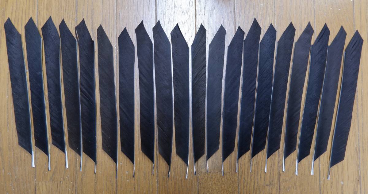 SALE，大人気 弓道矢羽 黒鷲尾羽20枚 軸加工済み(弓道)｜売買されたオークション情報、yahooの商品情報をアーカイブ公開 - オークファン 弓道