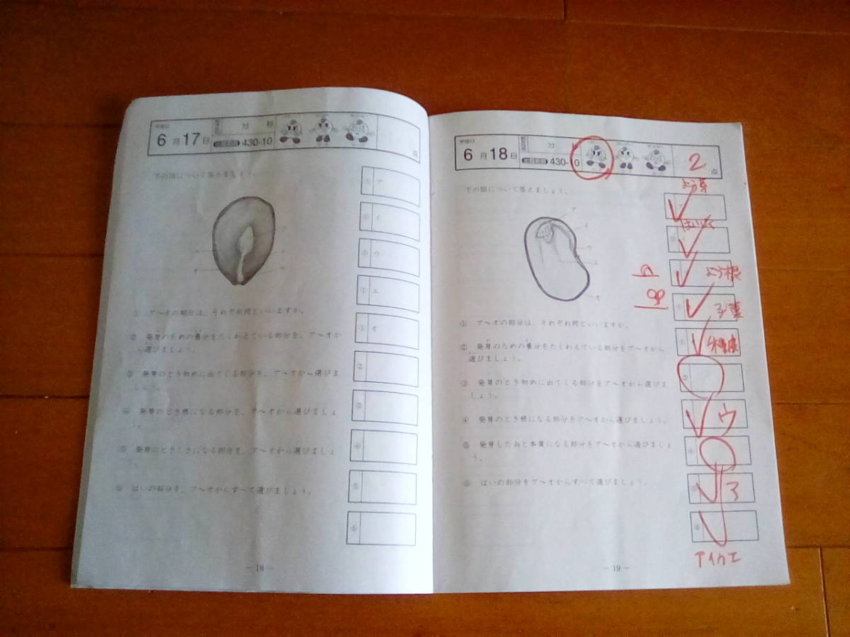 基礎力トレーニング 理科 小学4年 小学5年 21冊セット SAPIX