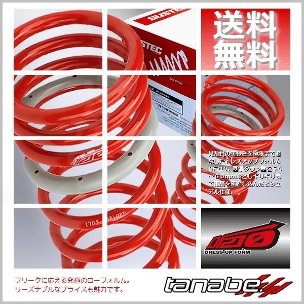 ダウンサス タナベ DF210 tanabe SUSTEC | 1台分 サステック DF210の