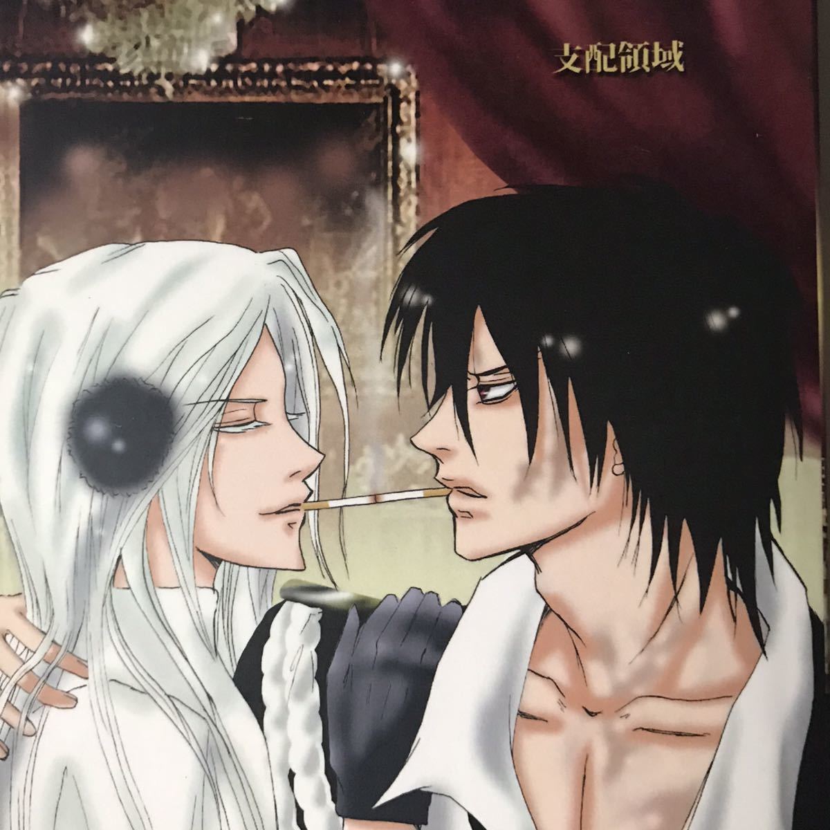 家庭教師ヒットマンREBORN! B2タペストリー Ver.2 「10年後 XANXUS&