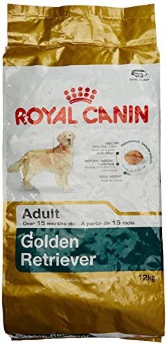 犬用品 ROYAL CANIN ADULT ゴールデンレトリバー 12kg