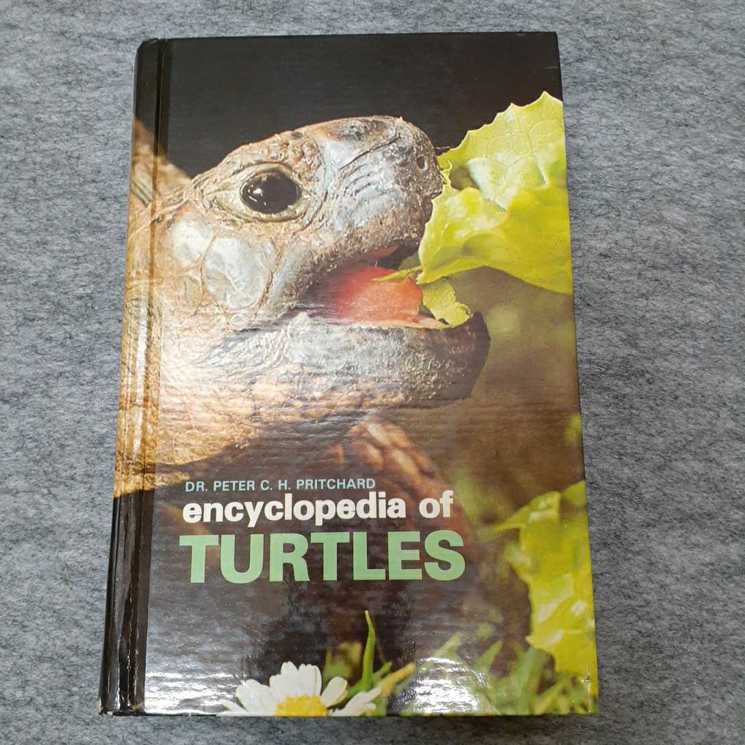 t.f.h. Encyclopedia of Turtles 洋書 of Encyclopedia Turtles swamp