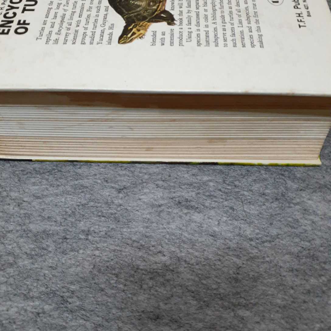 t.f.h. Encyclopedia of Turtles 洋書 of Encyclopedia Turtles swamp
