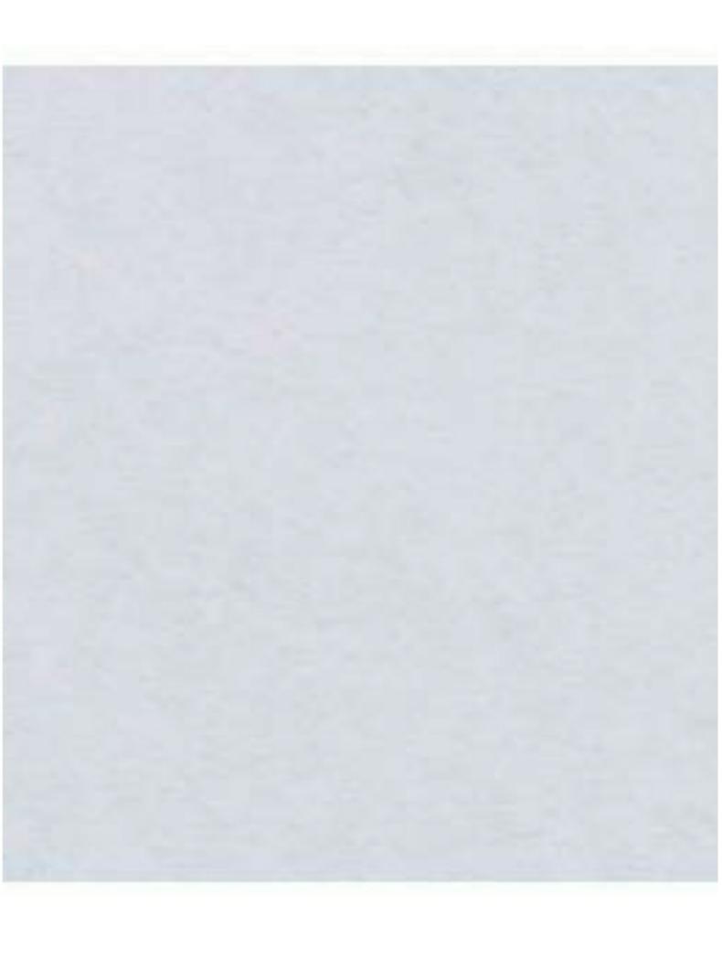 セール，格安 プラスチック 障子紙 ワーロンシートNo.52無地 0.2mm厚 サイズ：930&times;1850mm 2枚セット(障子紙)｜売買されたオークション情報、yahooの商品情報をアーカイブ公開 - オークファン 建具