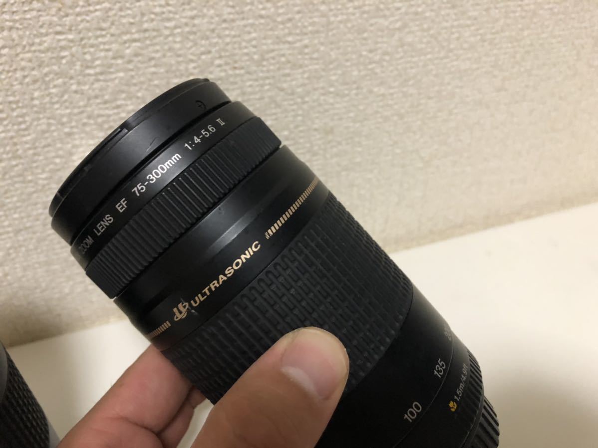 カメラ CANON ZOOM LENS EF 75-300mm 1:4-5.6 Ⅱ 良品