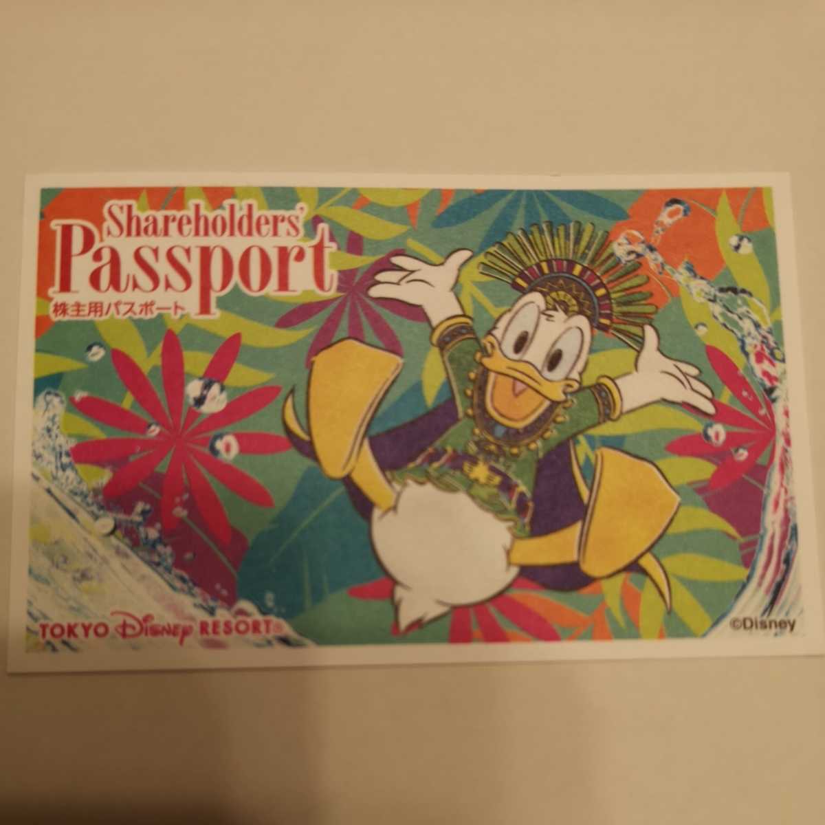 ディズニーチケット 株主優待券