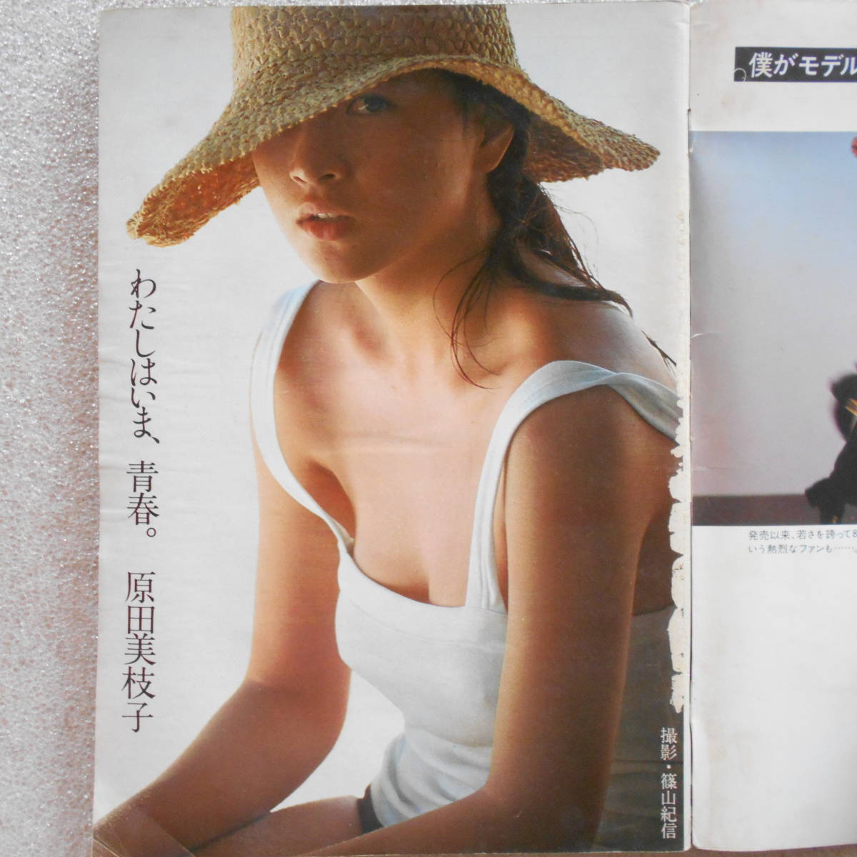 当時のメディア報道・掲載写真