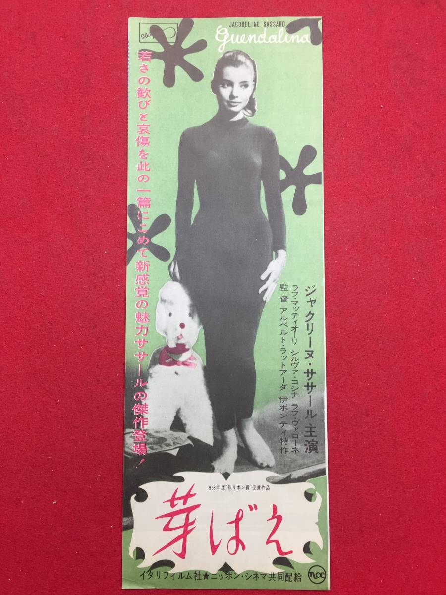 61143『芽ばえ』チラシ　ジャクリーヌ・ササール　シルヴァ・コシナ　アルベルト・ラトゥアーダ