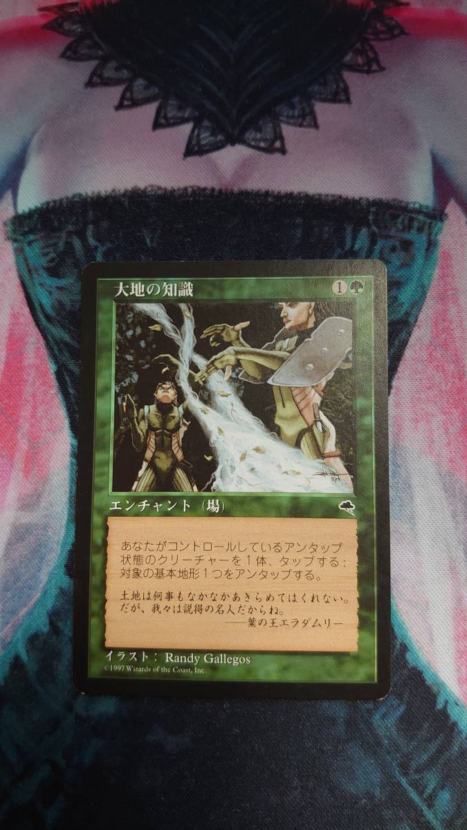大地の知識/Earthcraft》[TMP] 緑R | 日本最大級 MTG通販サイト「晴れる