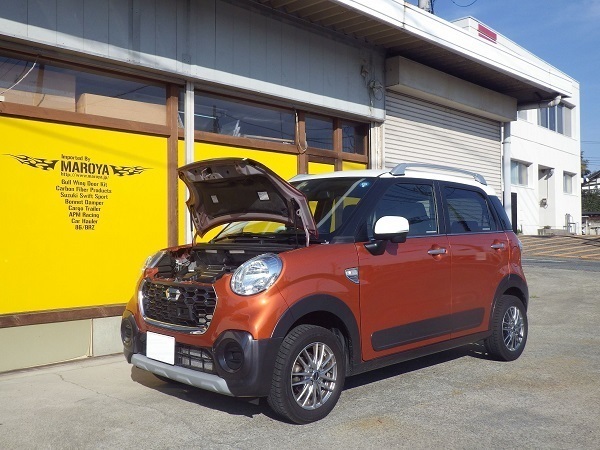 ダイハツ CAST/キャスト LA250S ボンネット 純正 811645 キャスト LA250S DBA-LA250S CAST(ダイハツ) 0 ファイアークォーツ ダイハツ CAST/キャスト LA250S ボンネット 純正 811645 キャスト LA250S DBA-LA250S CAST(ダイハツ) 0 ファイアークォーツ
