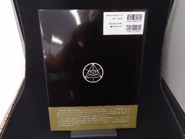 聖なる鏡 アレックス・グレイ SACRED MIRRORS Sacred Mirrors Grey