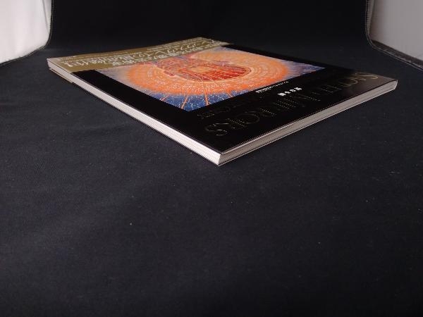 聖なる鏡 アレックス・グレイ SACRED MIRRORS Sacred Mirrors Grey
