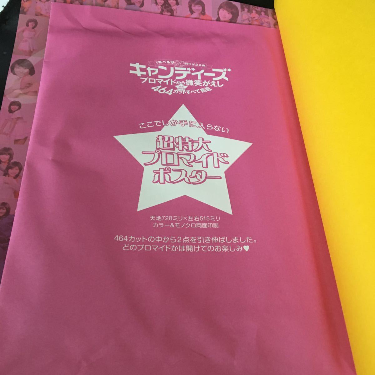 キャンディーズ・プロマイドから微笑みがえし】徳間書店 464カット