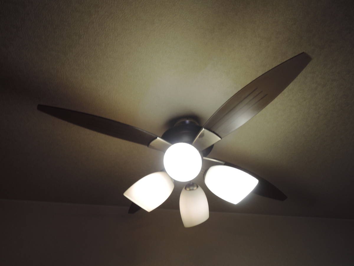 | 大光電機 DAIKO シーリングファン 照明 商品紹介 DCモーターファン LED・製品情報 大光電機株式会社 DAIKO(大光電機) 大光電機／DAIKO製シーリングファンの一覧｜シーリングファン DCH-41041Y ダイコー製シーリングファンライトDIE006生産終了品 大光電機(DAIKO)のシーリングファンライト 大光電機／DAIKO製シーリングファン・ライトの一覧｜シーリング DP-41997