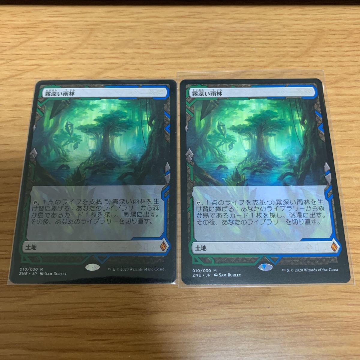 日本最大級 土地R 霧深い雨林 MTG 日本語 Rainforest 拡張版 