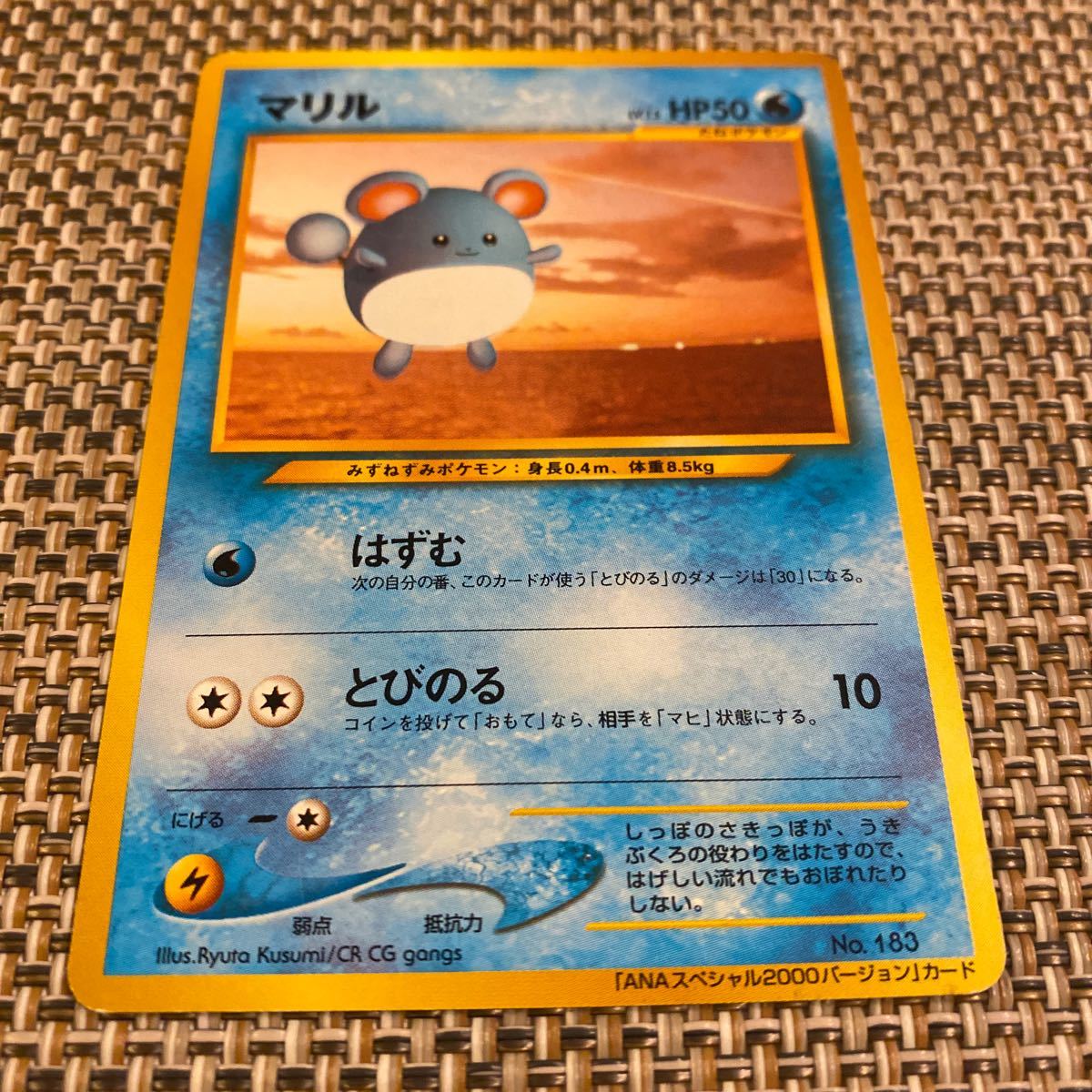 ポケモンカード 旧裏 初版 ☆マークなし マリル(ポケモンカードゲーム 