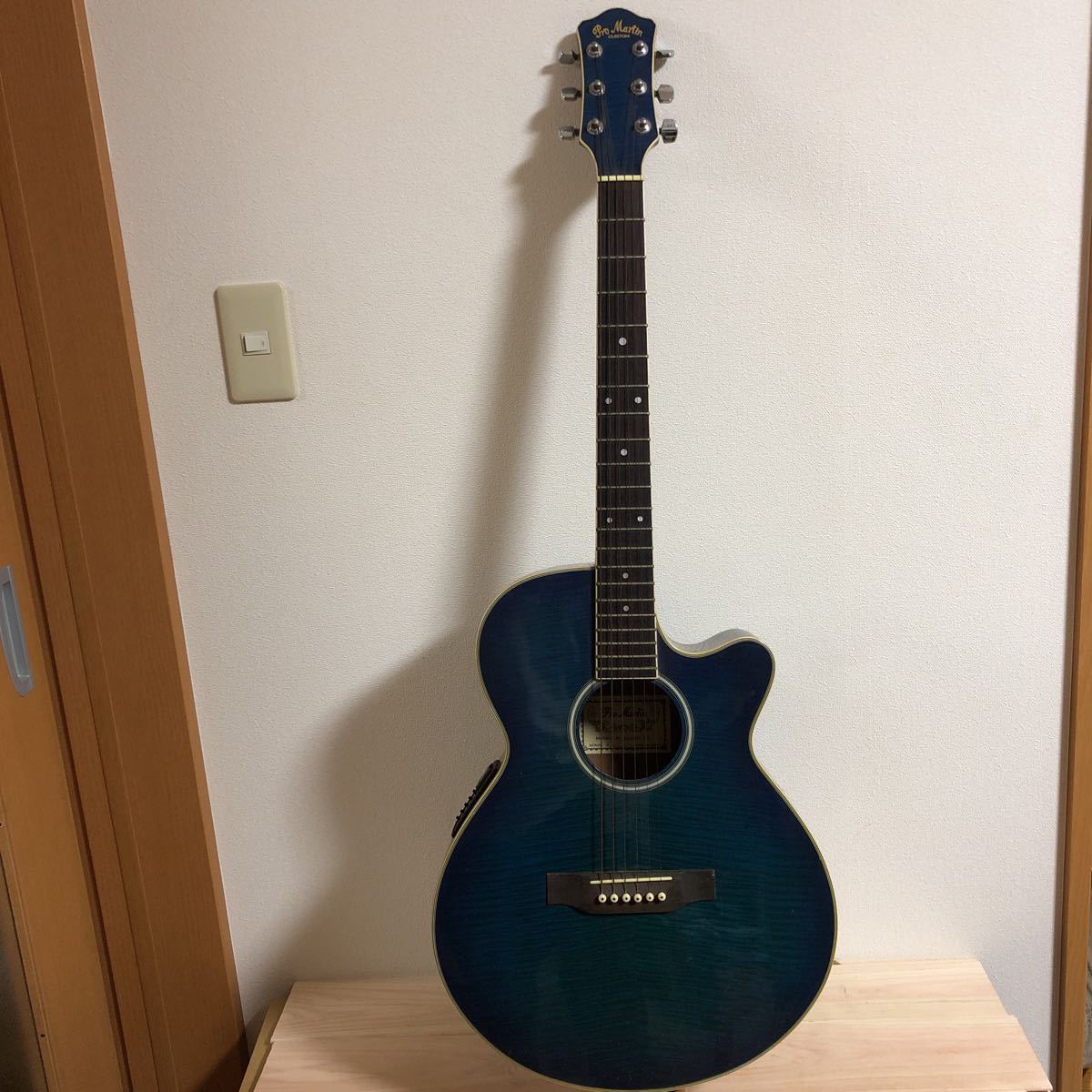 エレアコ Martin Pro pro EA450BLS CUSTOM ProMartin カスタム プロ 